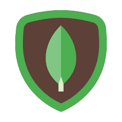 MongoDB MongoDB
